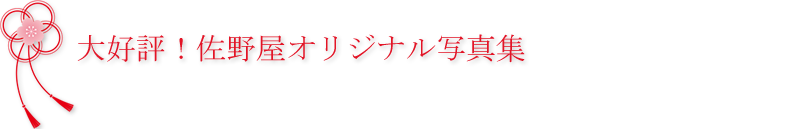 大好評！佐野屋オリジナル写真集